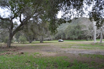 Enlarge photo 44