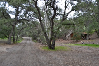 Enlarge photo 45