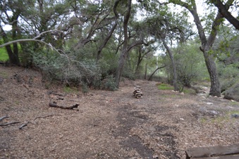 Enlarge photo 49
