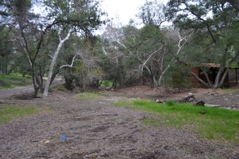 Enlarge photo 54