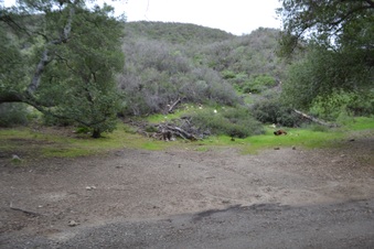 Enlarge photo 55