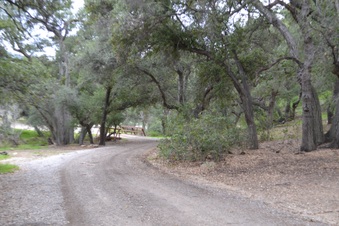 Enlarge photo 57