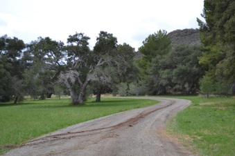 Enlarge photo 58