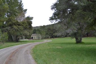 Enlarge photo 59