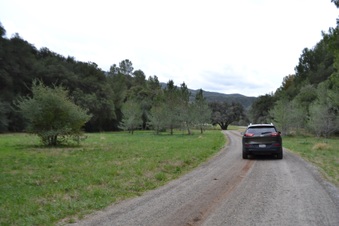 Enlarge photo 61
