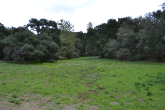 Enlarge photo 67