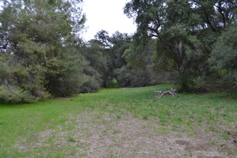 Enlarge photo 66