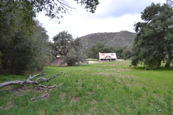 Enlarge photo 69