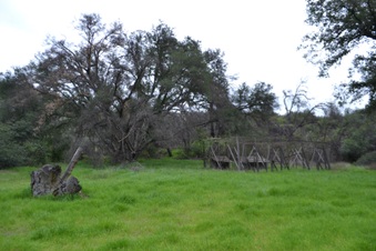 Enlarge photo 73