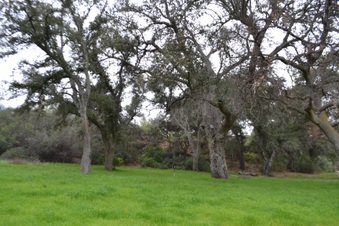 Enlarge photo 74