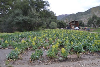 Enlarge photo 77