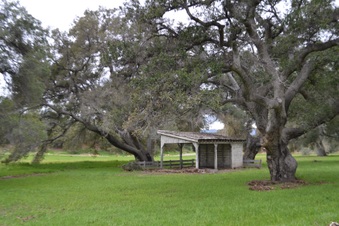 Enlarge photo 82
