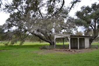 Enlarge photo 83