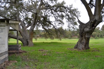 Enlarge photo 87