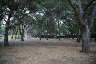 Enlarge photo 47