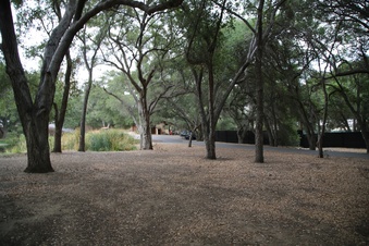 Enlarge photo 49