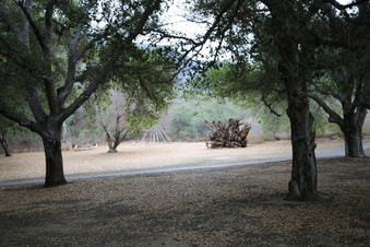 Enlarge photo 51