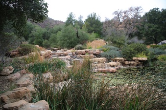 Enlarge photo 54