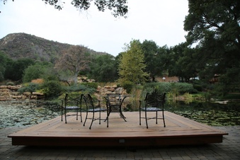 Enlarge photo 61