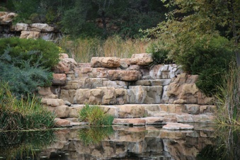 Enlarge photo 65