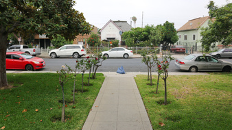 Enlarge photo 34