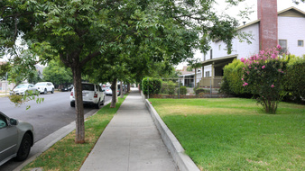 Enlarge photo 35