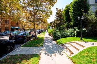 Enlarge photo 309