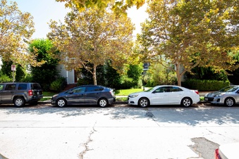Enlarge photo 82