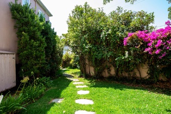 Enlarge photo 95