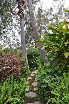 Enlarge photo 31