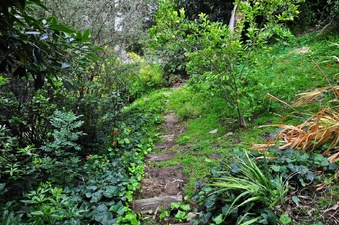 Enlarge photo 38