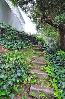 Enlarge photo 39