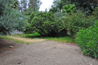 Enlarge photo 40