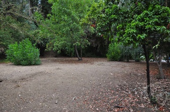 Enlarge photo 41