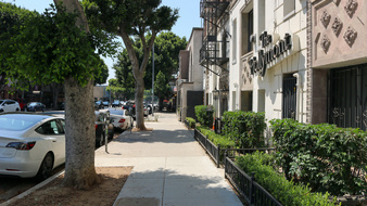 Enlarge photo 11