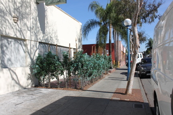 Enlarge photo 5