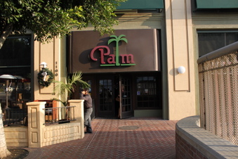 The Palms DTLA