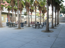 Enlarge photo 44