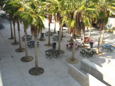 Enlarge photo 43