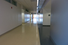Enlarge photo 82