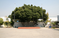 Enlarge photo 5