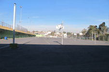 Enlarge photo 61