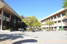 Enlarge photo 27
