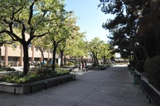 Enlarge photo 28