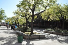 Enlarge photo 29
