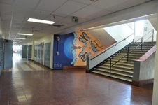 Enlarge photo 47