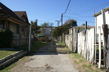 Enlarge photo 59