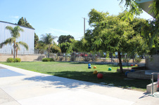 Enlarge photo 58