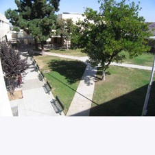 Enlarge photo 17