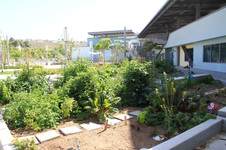 Enlarge photo 5